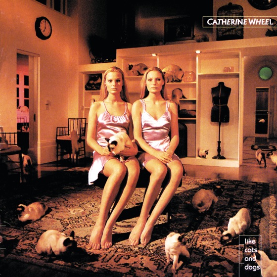 Cover artwork for Wish You Were Here
