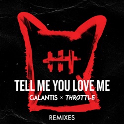 Galantis - Tell Me You Love Me (DropGun Remix)