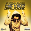 Never Grudge - Single