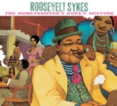 Roosevelt Sykes - Goin' Down Slow