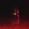 Xanti - Temporarily Unavailable