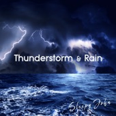 Thunder & Rain Sounds, Pt. 110 artwork