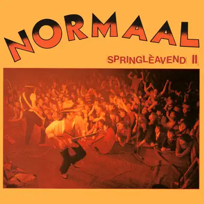 Springlèavend II (2017 Remaster) [Live] - Normaal