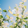 张雨轩 - 花