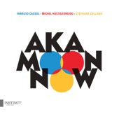 Now (feat. Fabrizio Cassol, Michel Hatzigeorgiou & Stéphane Galland) artwork