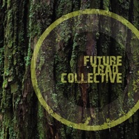 Future Trad Collective by Future Trad Collective on Apple Music