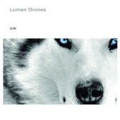 Lumen Drones - Lux