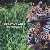 Creative Ades - Private Love