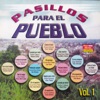 Pasillos para el Pueblo (Vol. 1)