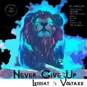 Never Give Up (Anton Ishutin Remix) artwork