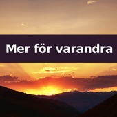 Mer för varandra (Flute Version) artwork