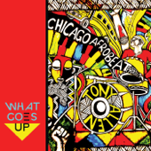 What Goes Up (feat. Tony Allen) - Chicago Afrobeat Project