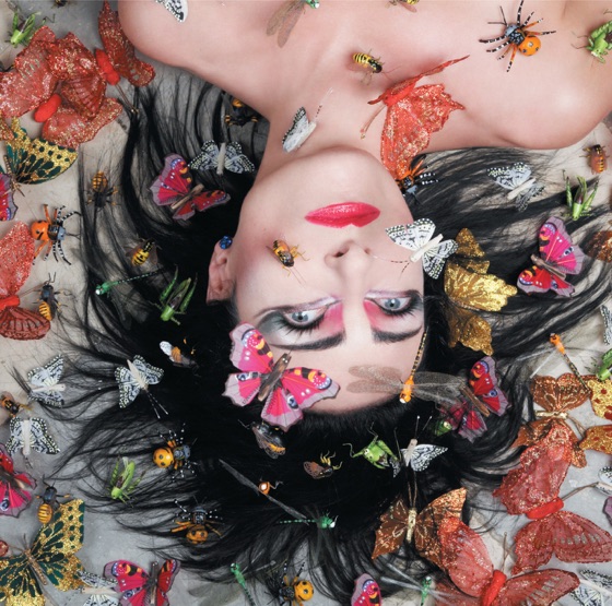Cover artwork for Drone Zone