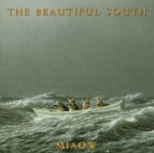 The Beautiful South - Prettiest Eyes