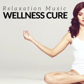 Wellness Cure: Relaxation Music, Deep Sleep Music, Spa Music with Nature Sounds for Your Body and Soul artwork
