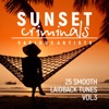 Sunset Criminals, Vol. 3 (25 Smooth Laidback Tunes), 2018