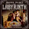 Labyrinth (From "the Grinning Man") - Single album lyrics, reviews, download