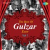 The Best of Gulzar Ever, Vol. 1 - Single