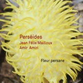 Perséides - Oiseaux