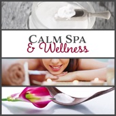 Calm Spa & Wellness: Therapy Music for Massage, Zen New Age for Deep Relaxation & Beauty Treatments, Rest for Body & Mind artwork