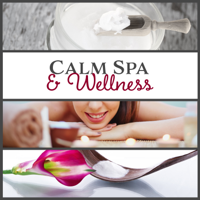 Spa Music Zone - Calm Spa & Wellness: Therapy Music for Massage, Zen New Age for Deep Relaxation & Beauty Treatments, Rest for Body & Mind artwork
