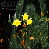 Geek (feat. Ordnry Yngstr) - Single