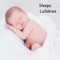 Hot Cross Buns (Sleep) - Einstein Baby Lullaby Academy, Baby Sleep Peace & Rockabye Lullaby lyrics