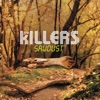 Mr. Brightside by The Killers iTunes Track 2