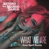 What We Are (feat. Margo Sarge) [Ivan Spell Radio Mix] - Single