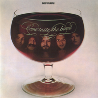 Deep Purple - Come Taste the Band artwork