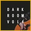 Dark Room, Vol. 4, 2018