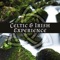 Celtic Harp Alarm Clock - Relaxation Zone lyrics
