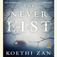 Koethi Zan - The Never List (Unabridged) artwork