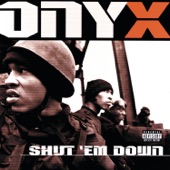 Shut 'Em Down artwork