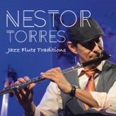 Nestor Torres - Memphis Underground