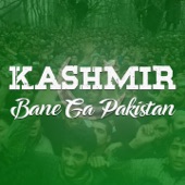 Kashmir KO Haqq Do Bharat (Urdu Version) artwork