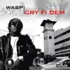 Cry Fi Dem - EP album lyrics, reviews, download