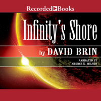 David Brin - Infinity's Shore artwork