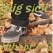 Big Sick - Nthnbttr<3 lyrics