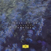 Endless (Remixes) artwork