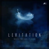 Levitation (Deep House Experience) artwork
