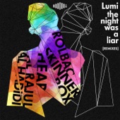 The Night Was a Liar (Remixes) - EP artwork