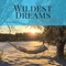 Wildest Dreams - Bill West lyrics