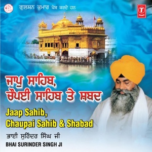 Skachat Besplatno Pesnyu Bhai Surinder Singh Ji Kar Te No Saalaash V Mp3 I Bez Registracii bhai surinder singh ji kar te no saalaash mp3 randika info