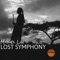 Lost Symphony - Miguel Lin lyrics