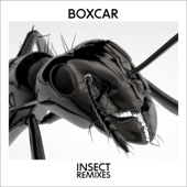 Insect (Racic Club Mix) artwork