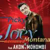 Picky (feat. Akon & Mohombi) [RLS & 2Frenchguys] song lyrics