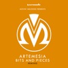 Bits and Pieces (Remixes)