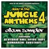 Deep In the Jungle Anthems 4 - Album Sampler - EP