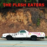 The Flesh Eaters - Pony Dress